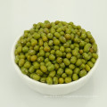 Well selected small green mung bean